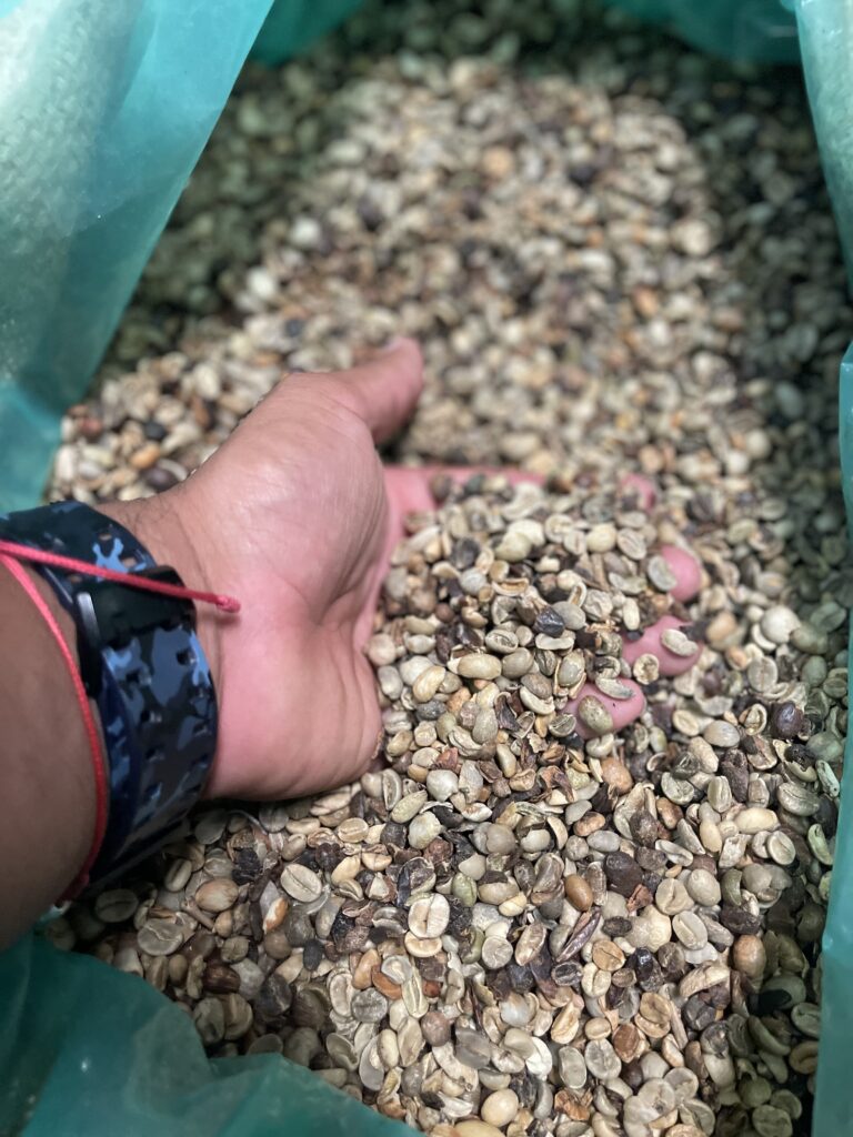 Guide explaining the bean-to-bar process on a chocolate tour